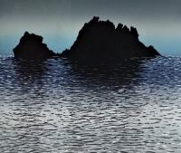 Sea Slight  by Merlyn  Chesterman 